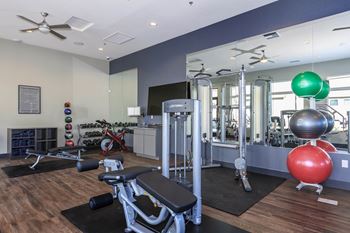Weights at gym
